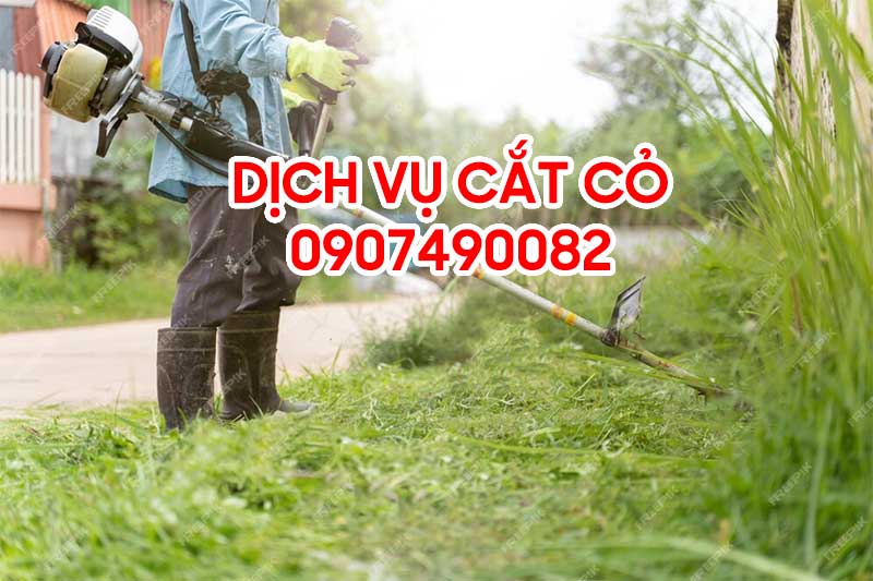 Dịch vụ cắt cỏ tại Đà Nẵng
